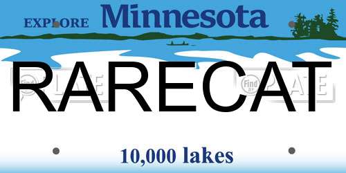 RARECAT Minnesota License Plate