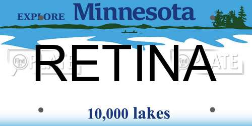 RETINA Minnesota License Plate