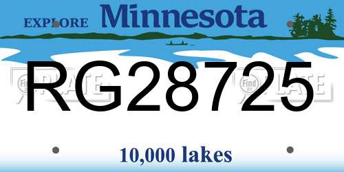 RG28725 Minnesota License Plate