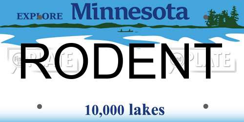 RODENT Minnesota License Plate