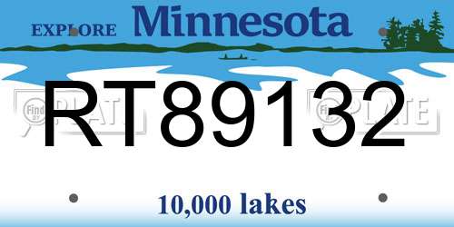 RT89132 Minnesota License Plate