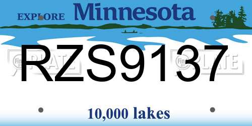 RZS9137 Minnesota License Plate