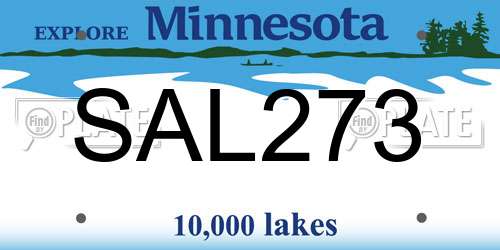SAL273 Minnesota License Plate