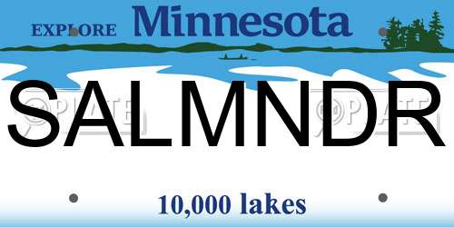 SALMNDR Minnesota License Plate
