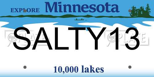 SALTY13 Minnesota License Plate
