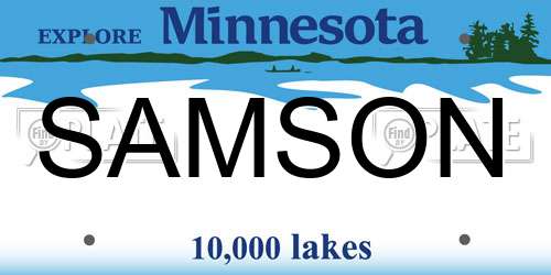 SAMSON Minnesota License Plate