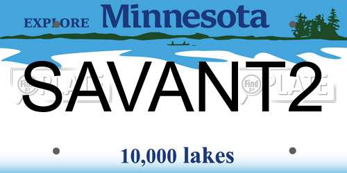 SAVANT2 Minnesota License Plate