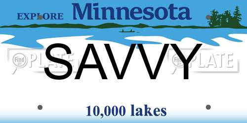 SAVVY Minnesota License Plate