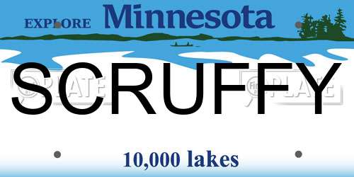 SCRUFFY Minnesota License Plate