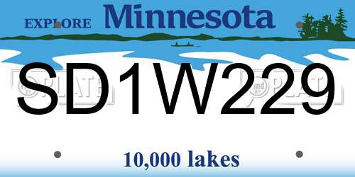 SD1W229 Minnesota License Plate