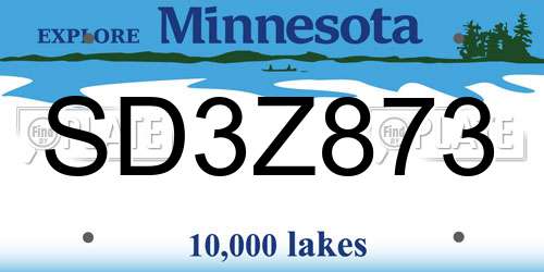 SD3Z873 Minnesota License Plate