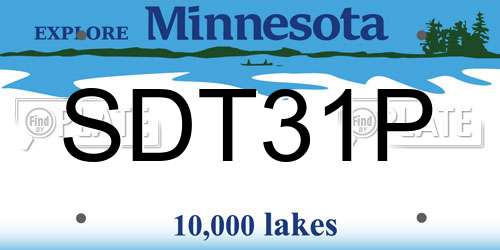 SDT31P Minnesota License Plate