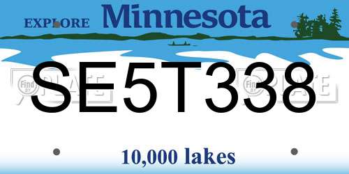 SE5T338 Minnesota License Plate