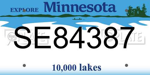 SE84387 Minnesota License Plate