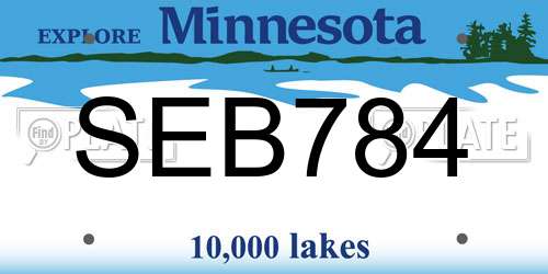 SEB784 Minnesota License Plate