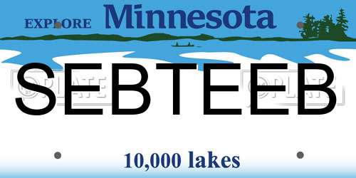 SEBTEEB Minnesota License Plate
