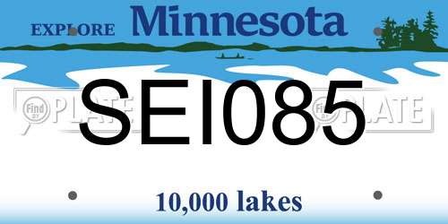 SEI085 Minnesota License Plate