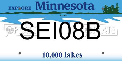 SEI08B Minnesota License Plate