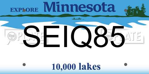 SEIQ85 Minnesota License Plate