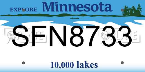 SFN8733 Minnesota License Plate