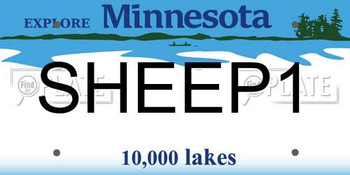 SHEEP1 Minnesota License Plate