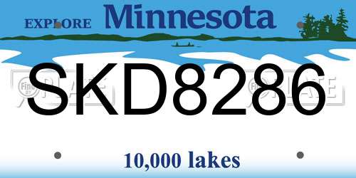 SKD8286 Minnesota License Plate