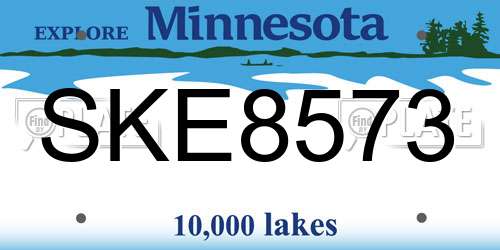 SKE8573 Minnesota License Plate