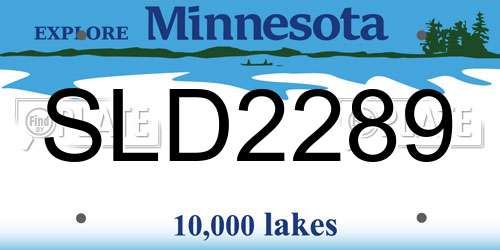 SLD2289 Minnesota License Plate