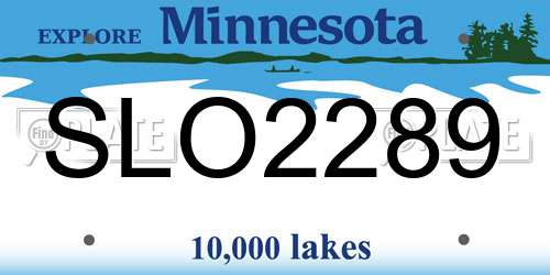 SLO2289 Minnesota License Plate