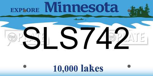 SLS742 Minnesota License Plate