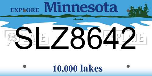 SLZ8642 Minnesota License Plate