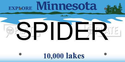 SPIDER Minnesota License Plate