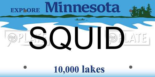 SQUID Minnesota License Plate