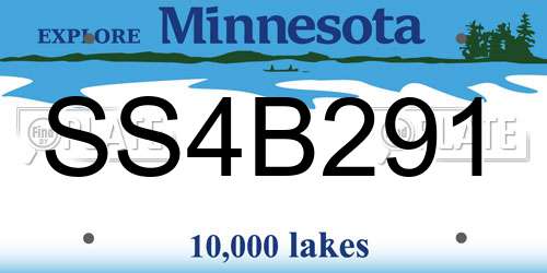 SS4B291 Minnesota License Plate