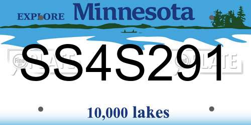 SS4S291 Minnesota License Plate