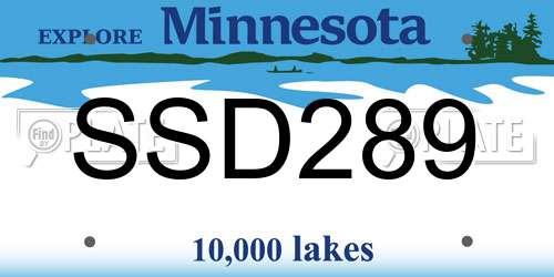 SSD289 Minnesota License Plate