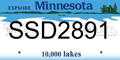 SSD2891 Minnesota License Plate