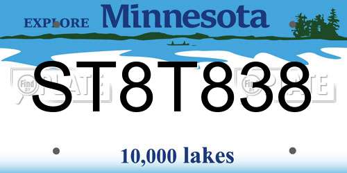 ST8T838 Minnesota License Plate