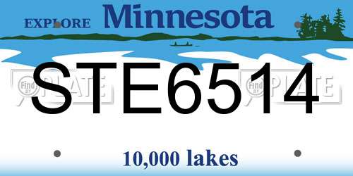 STE6514 Minnesota License Plate