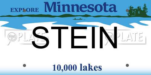 STEIN Minnesota License Plate