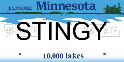 STINGY Minnesota License Plate