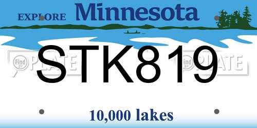 STK819 Minnesota License Plate