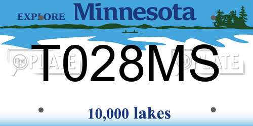 T028MS Minnesota License Plate