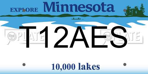 T12AES Minnesota License Plate