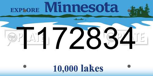 T172834 Minnesota License Plate