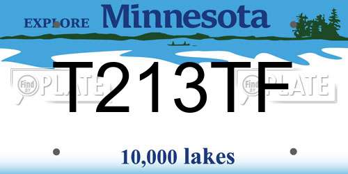 T213TF Minnesota License Plate