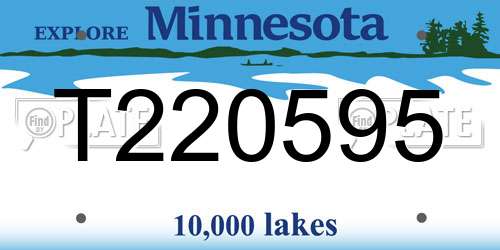 T220595 Minnesota License Plate
