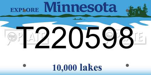 T220598 Minnesota License Plate