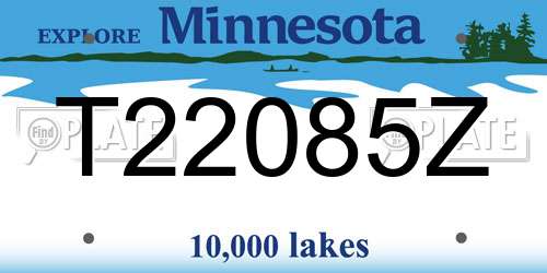 T22085Z Minnesota License Plate