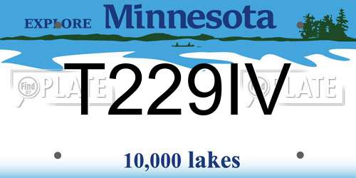 T229IV Minnesota License Plate